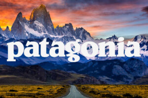 patagonia-brand-the-change