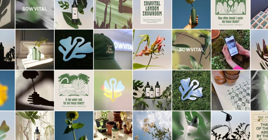 Plant Care Brand Sowvital Blossoms with Stunning New Identity