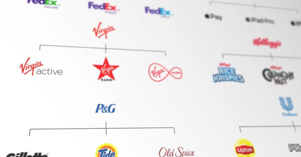 How to Choose the Right Brand Architecture for Your Product Portfolio?