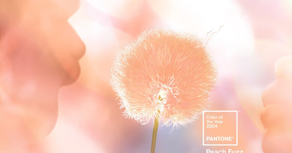 Peach Fuzz: Pantone’s 2024 Color of the Year Sets the Tone for Branding Harmony