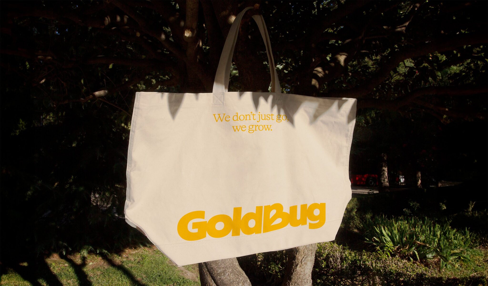GoldBug's