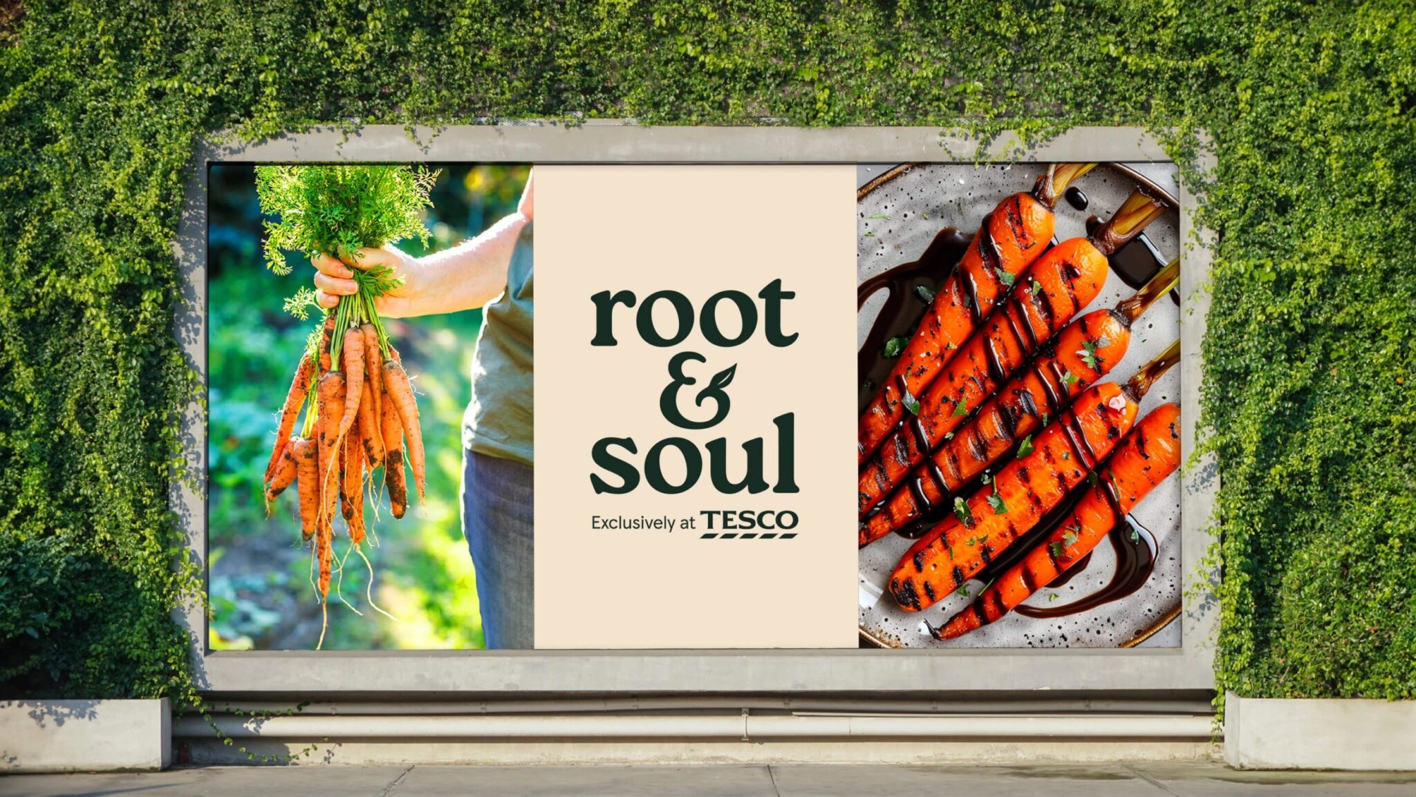 Root & Soul