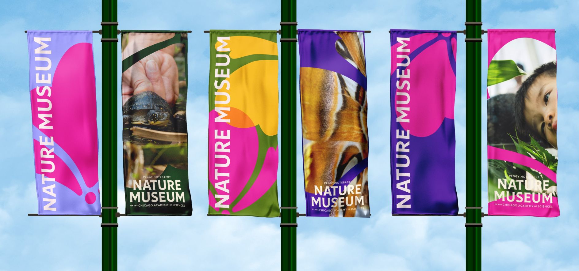 Chicago’s Oldest Nature Museum Rebrands with Prairie-Inspired Colors