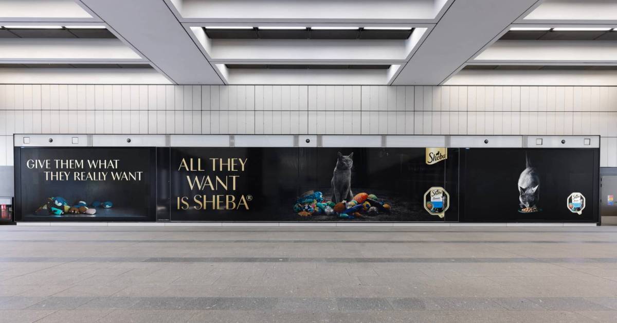 Oh My Cat! SHEBA Goes 3D With Connected Screen Outdoor Campaign