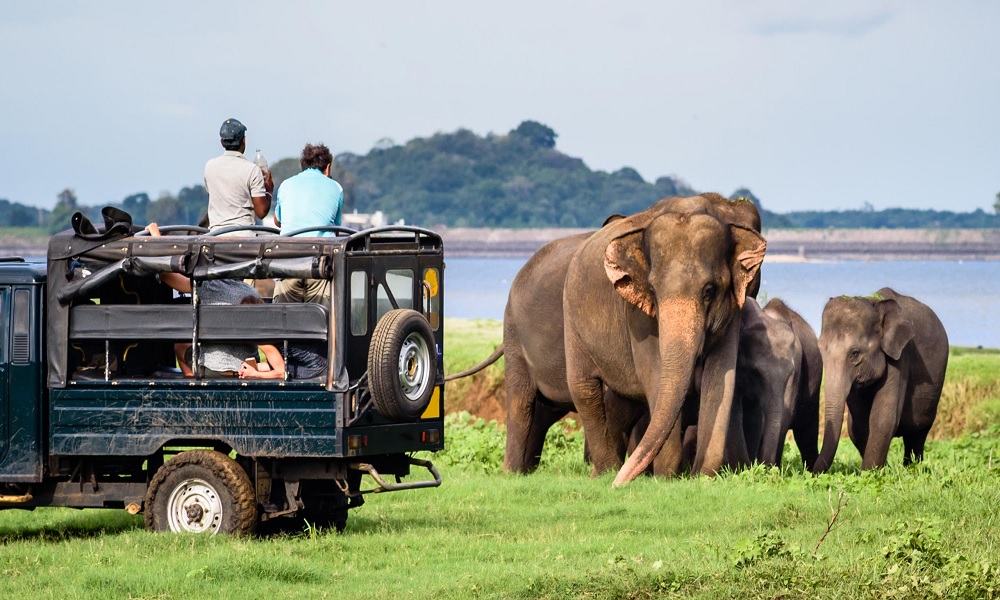 Sri Lanka is set to implement a significant change in its tourism policy, a destination that appeals to a diverse array of travelers. 