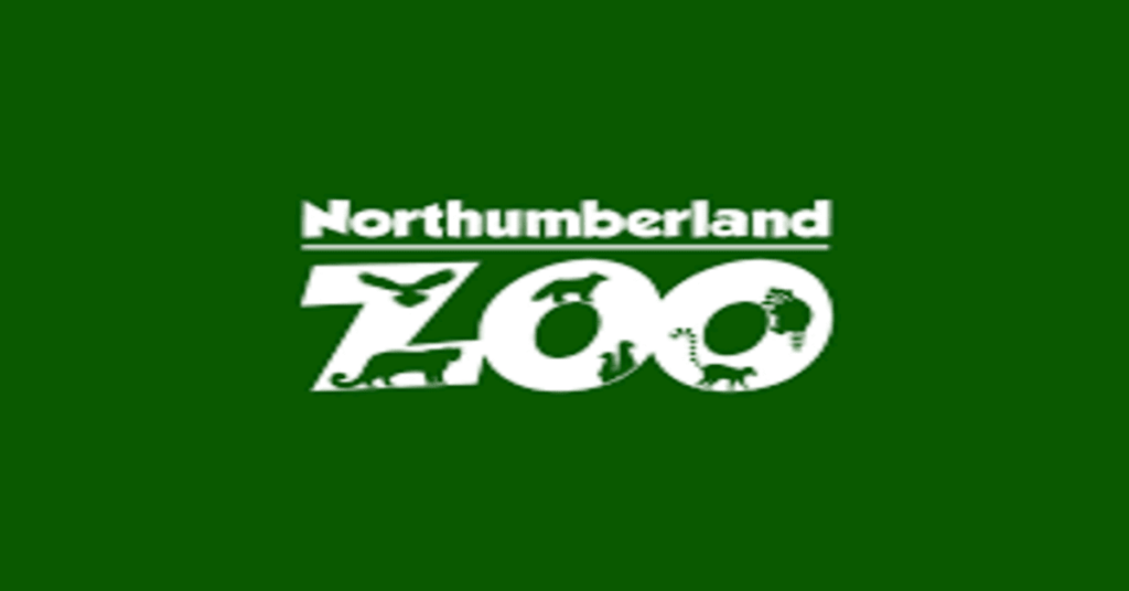 Northumberland Zoo Deadpan Social Media Video is Just Gen Z